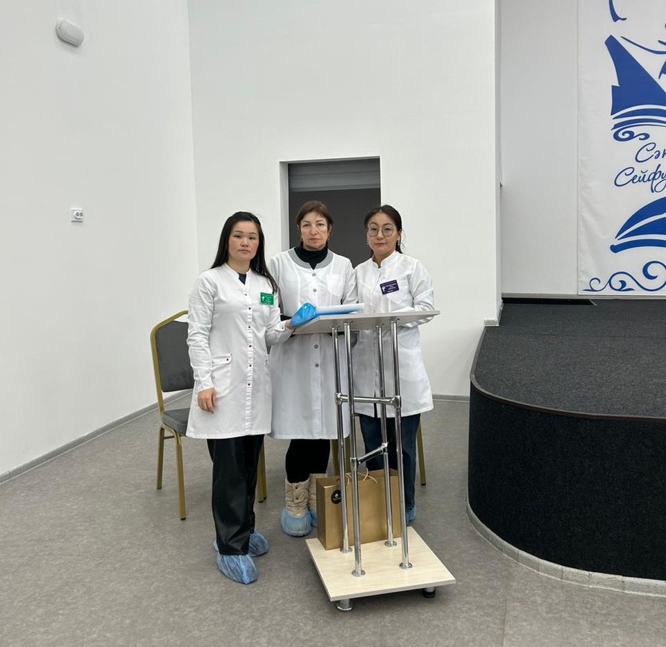 С. Сейфуллин атындағы гимназиядағы кездесу